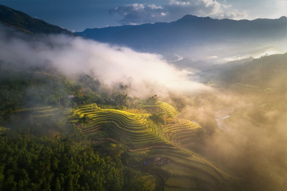 Фотография автора TRAN NGUYEN Quoc Hung