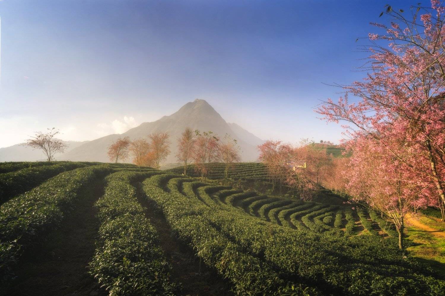 Фотография #4045830