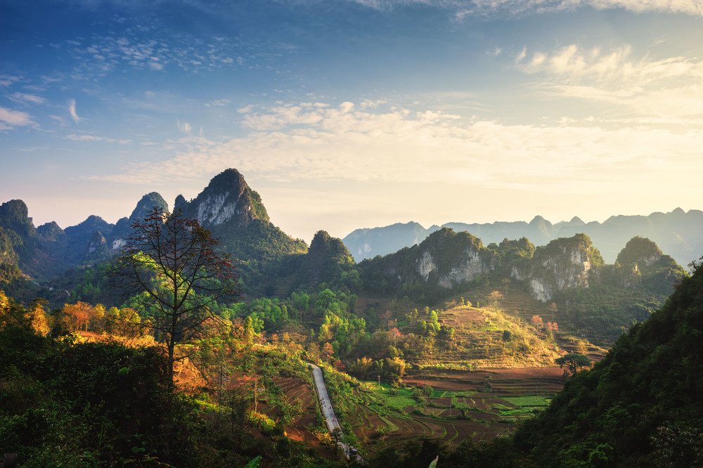 Фотография автора TRAN NGUYEN Quoc Hung