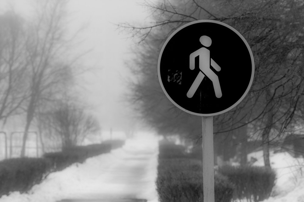 Photograph by Василий Шумкин