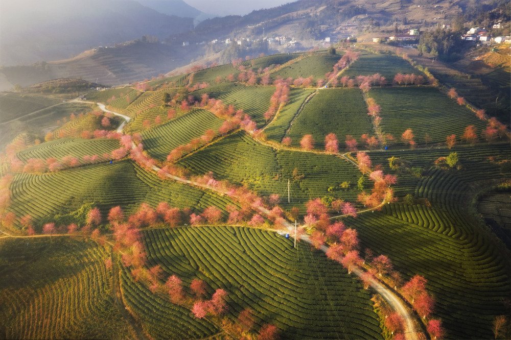 Фотография автора TRAN NGUYEN Quoc Hung