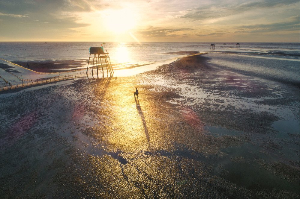 Фотография автора TRAN NGUYEN Quoc Hung