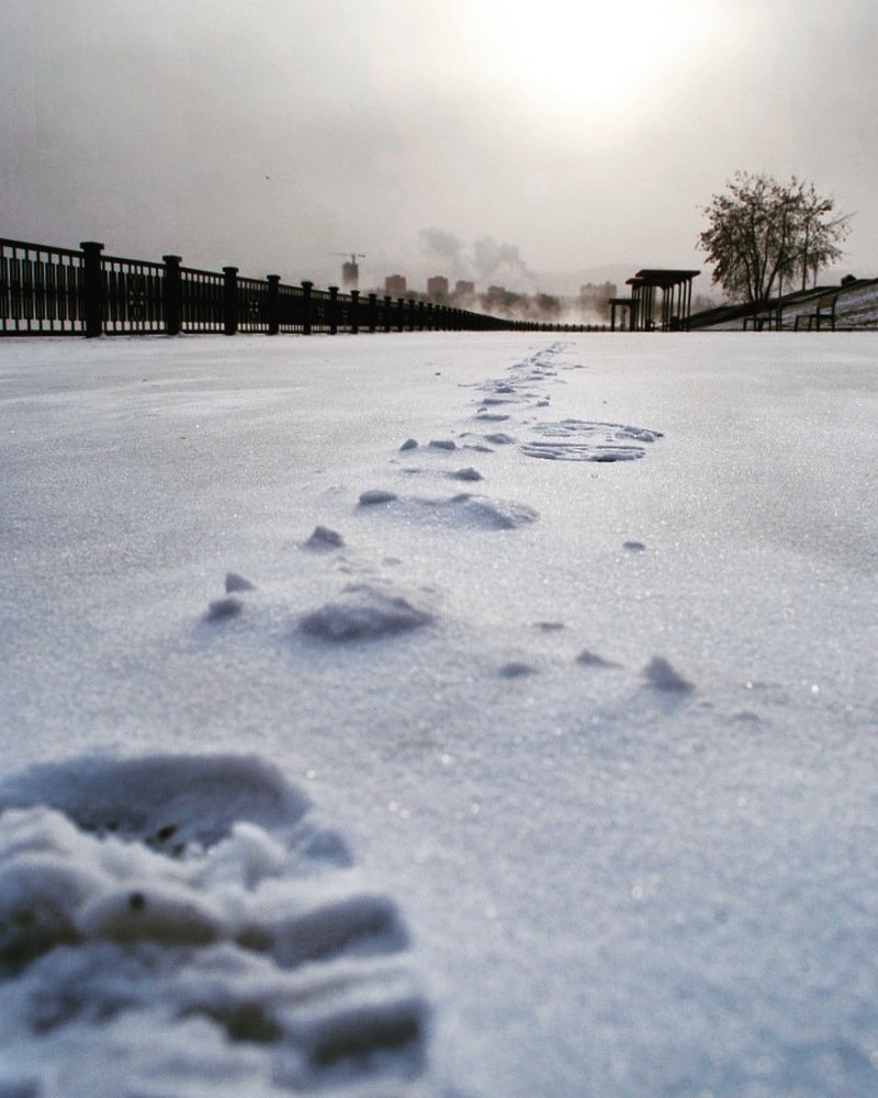 Photograph by Наталья Скиданова