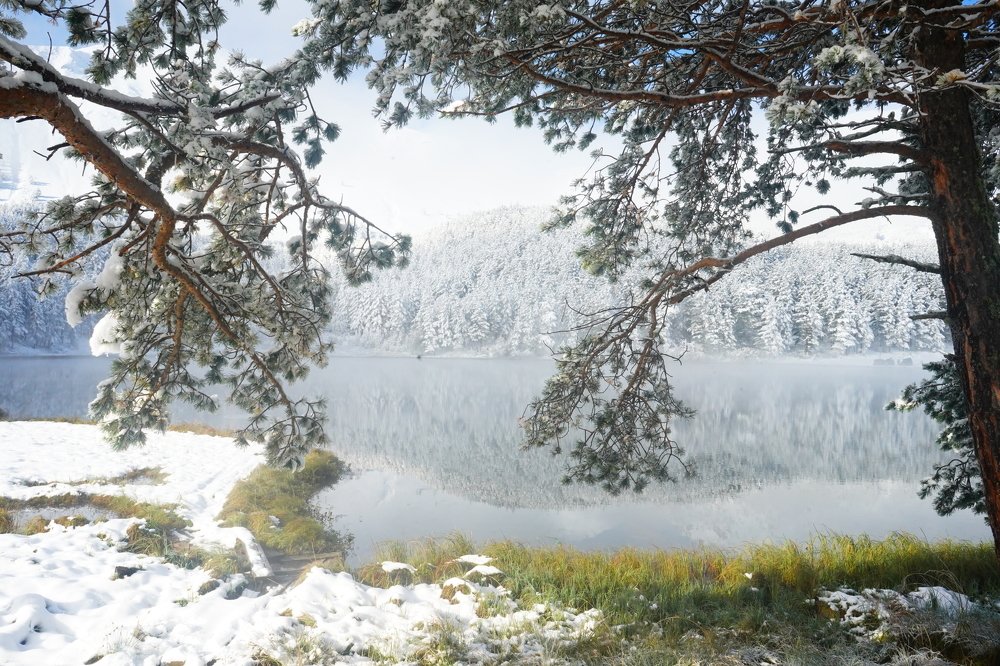 Photograph by Анжелика Гладких