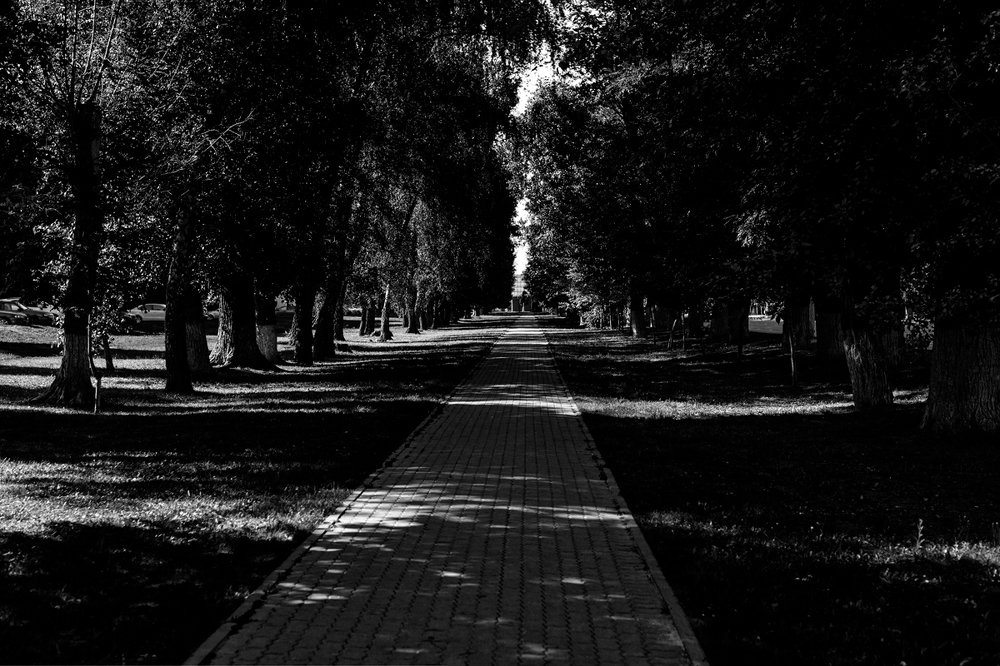 В тени деревьев