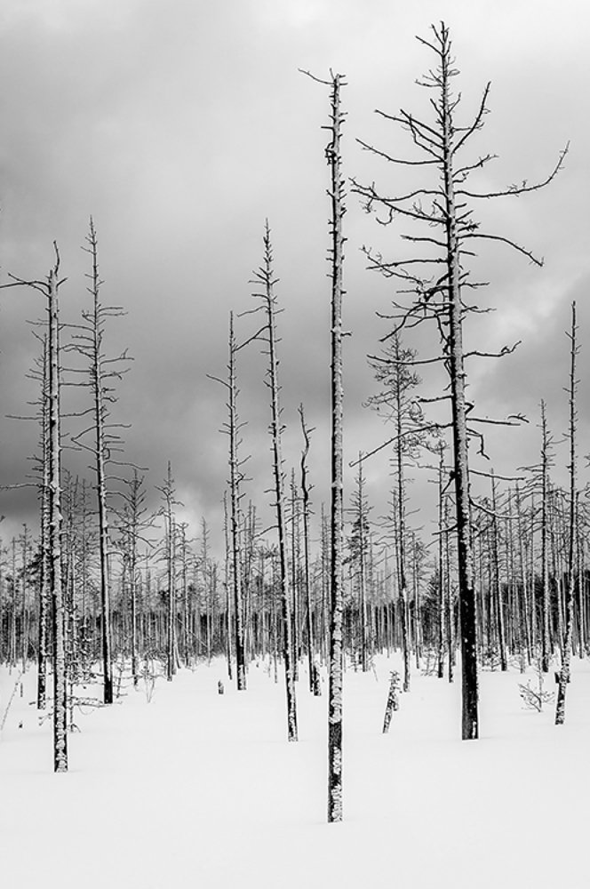 Photograph by Константин Гончаров