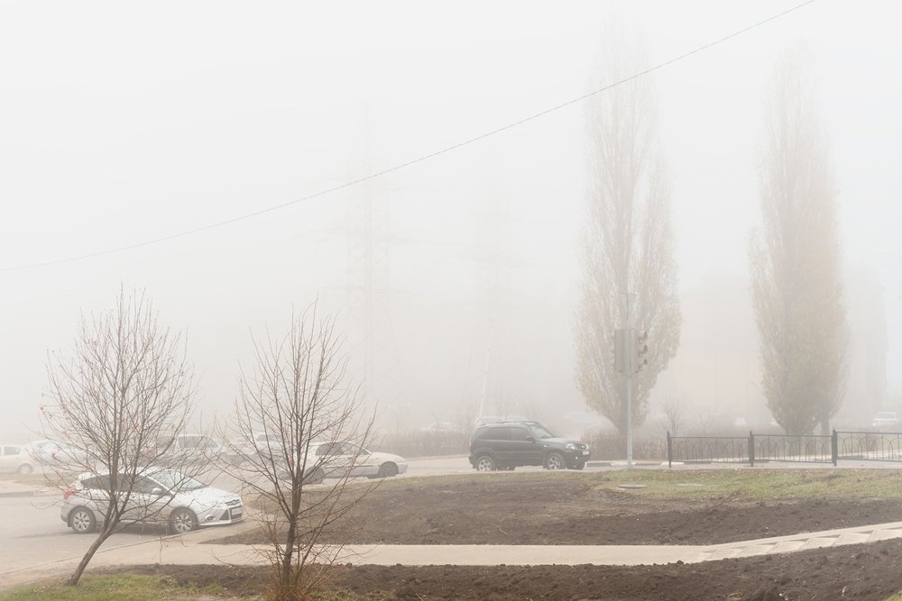 Туманный день