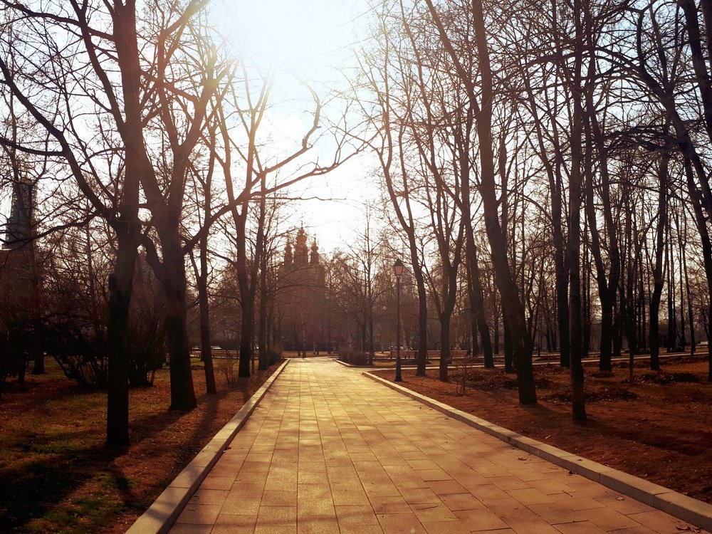 Photograph by Алина Веремеенко