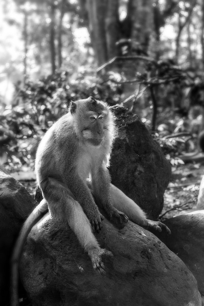 Photograph by Екатерина Бакулина