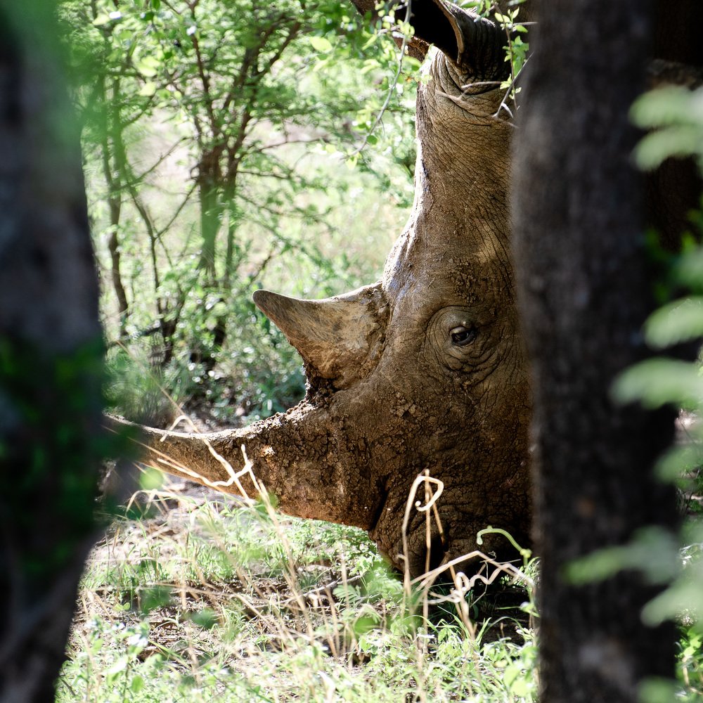 Photograph by Данил Луговой