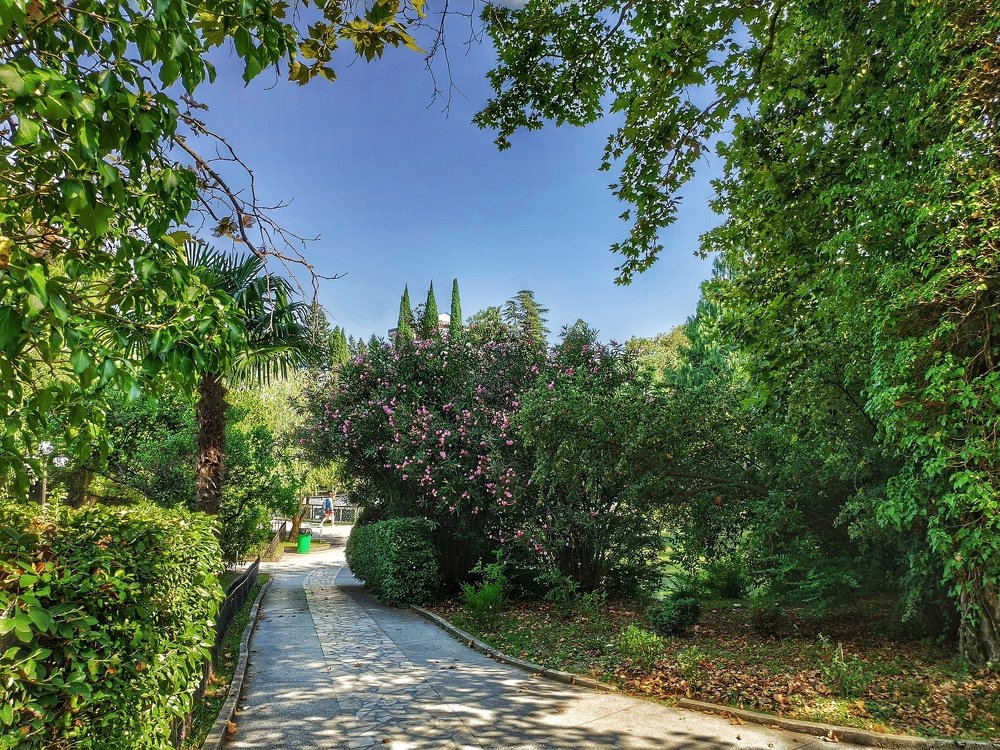 Photograph by Денис Пономарёв