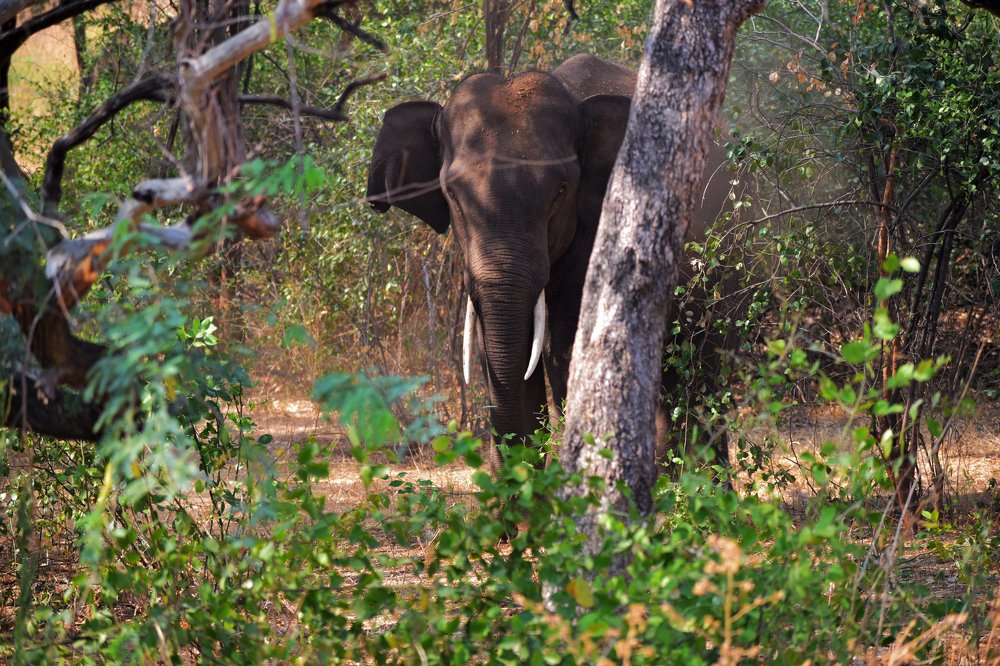 Photograph by Prabanjan Prabanjan karuppusamy