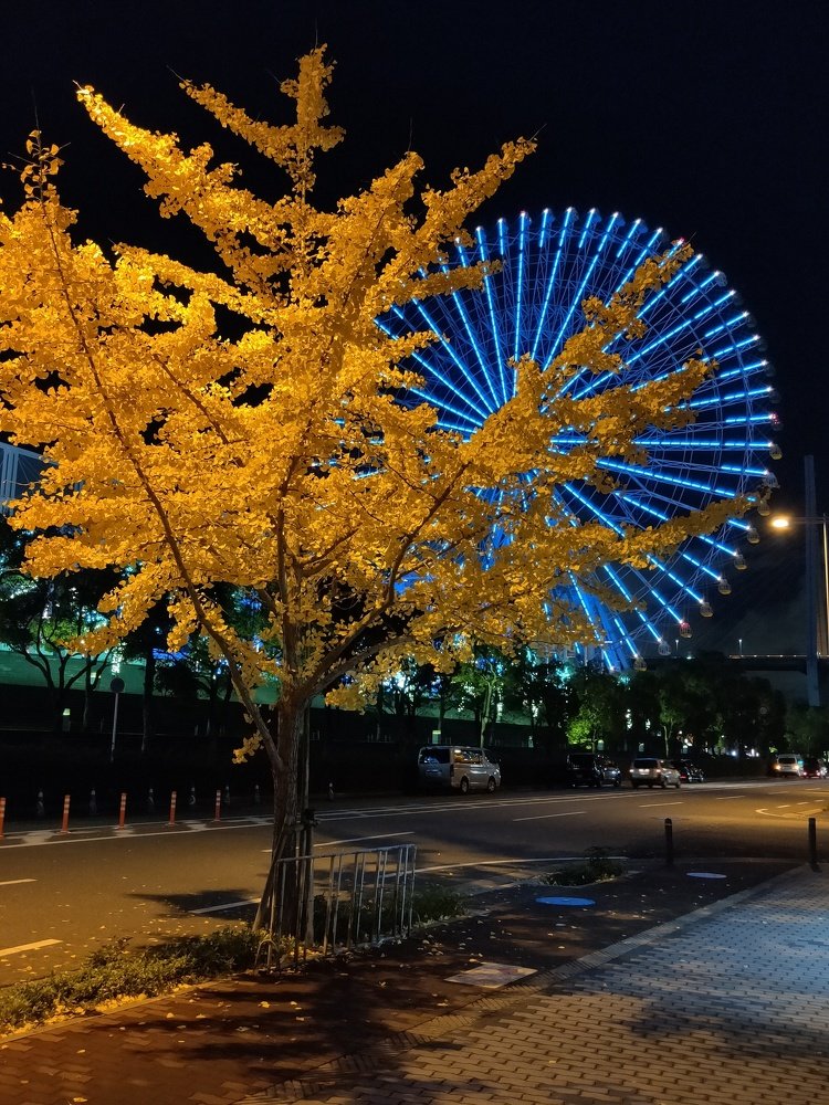 Photograph by Дмитрий