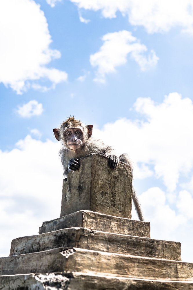 Фотография автора Dmitry Leonov