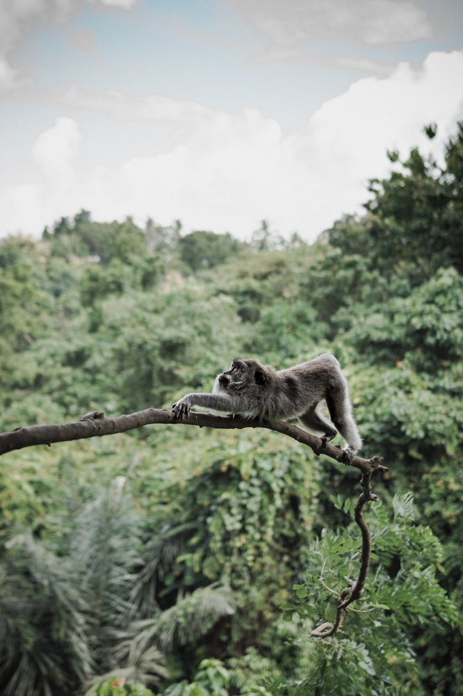 Фотография автора Dmitry Leonov