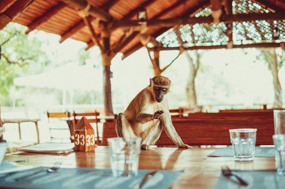 Фотография автора Dmitry Leonov