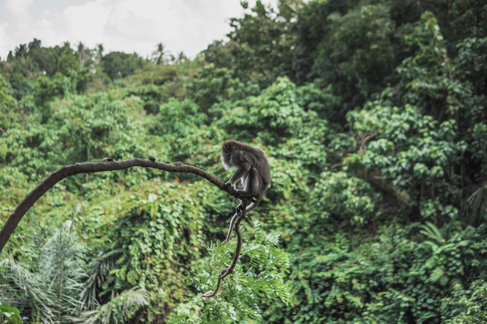 Фотография автора Dmitry Leonov