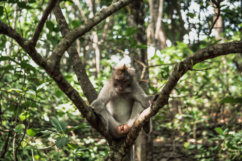 Фотография автора Dmitry Leonov