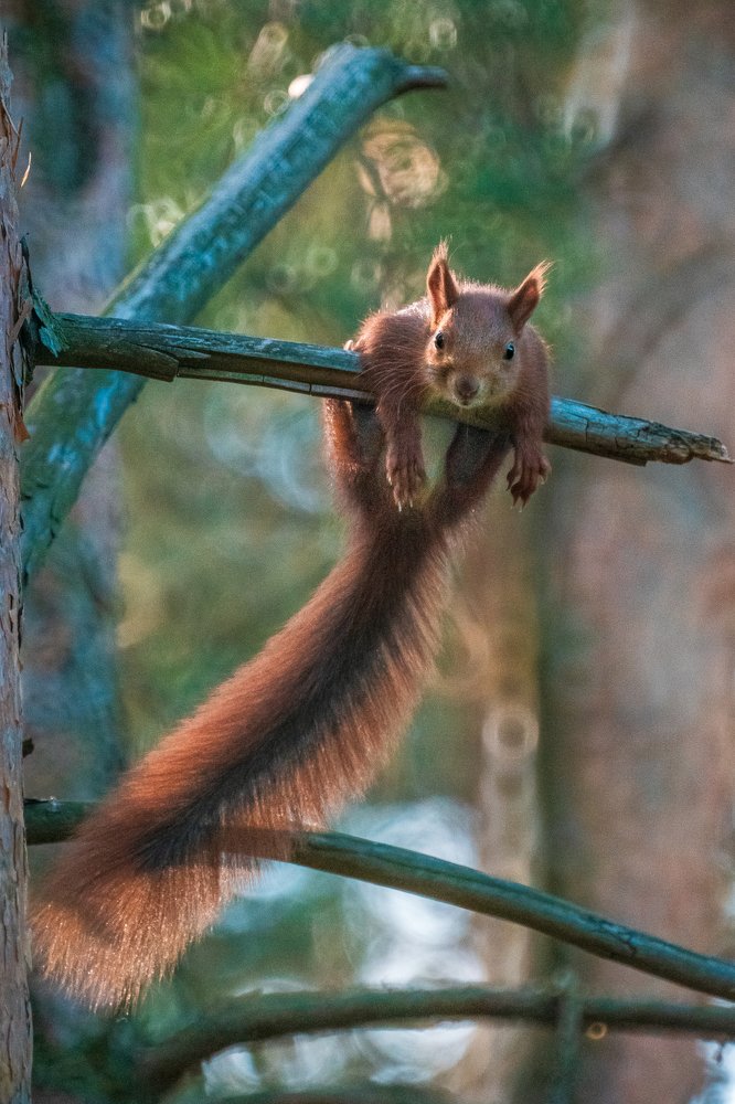 Photograph by Olga Martynska