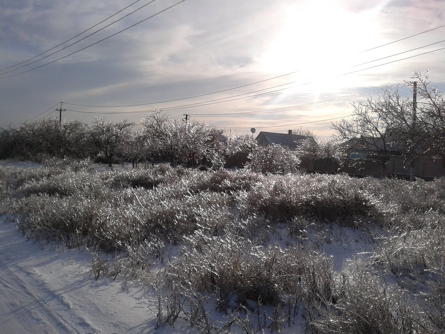 Photo #4046365