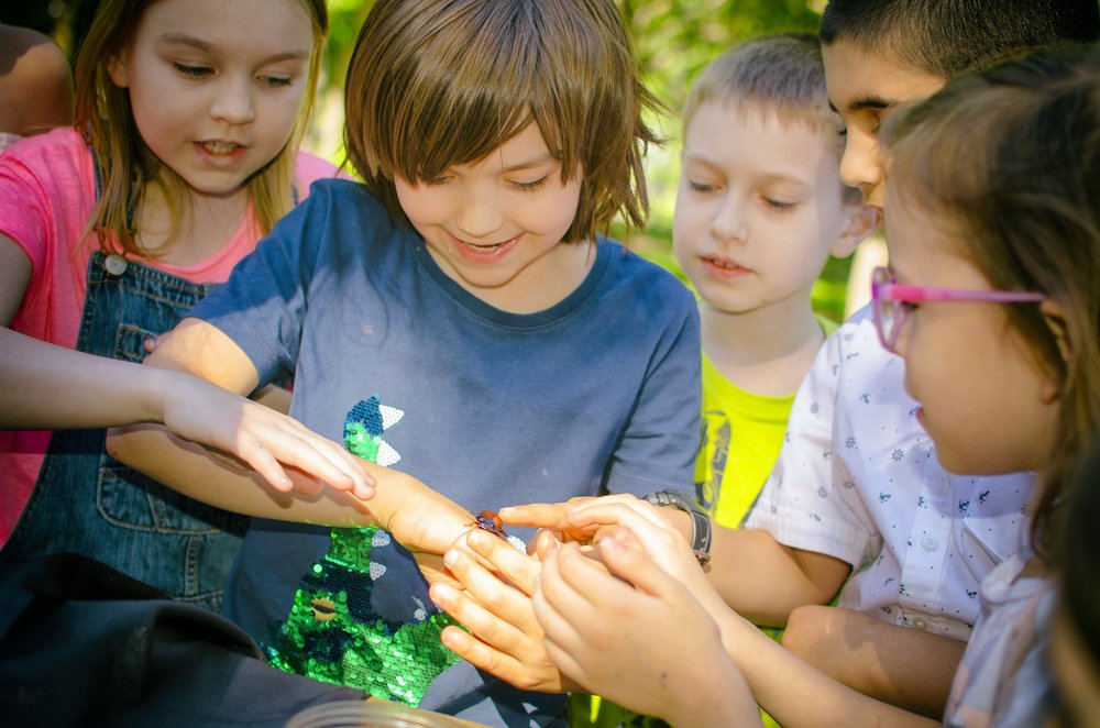 Photograph by Михаил Серебренников