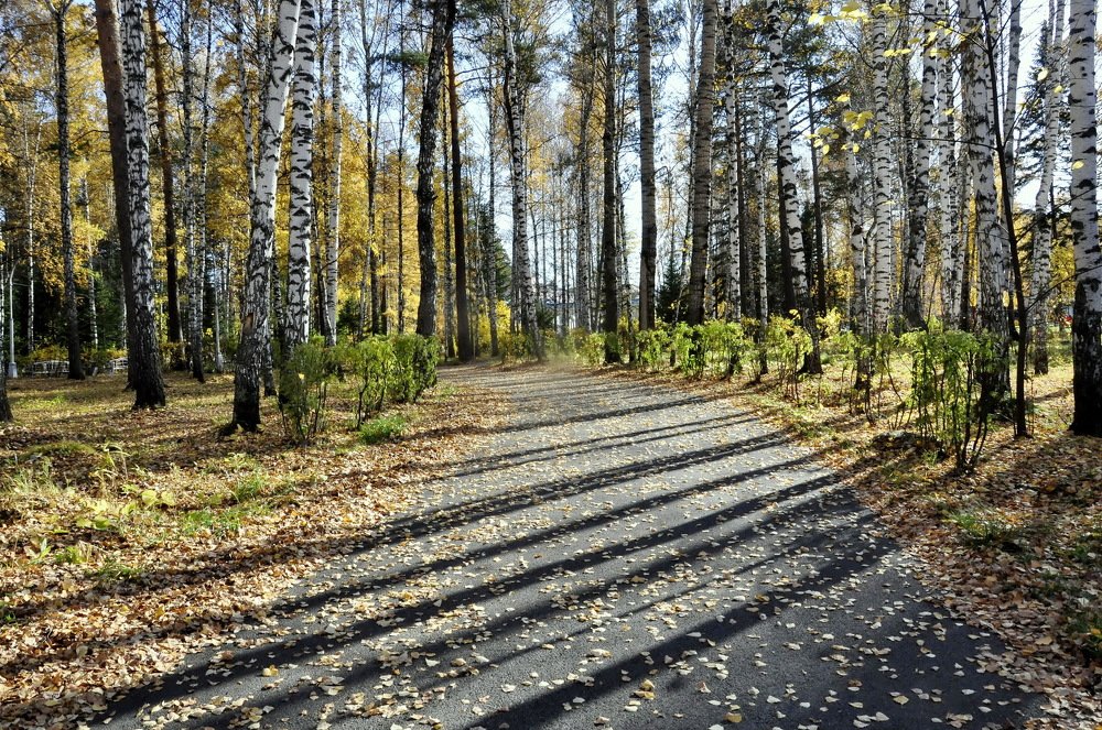 Photograph by НИНА АВЕРЬЯНОВА