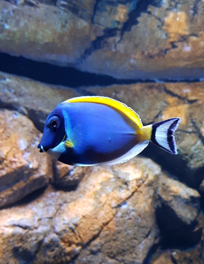 Photograph by Assia Touzene