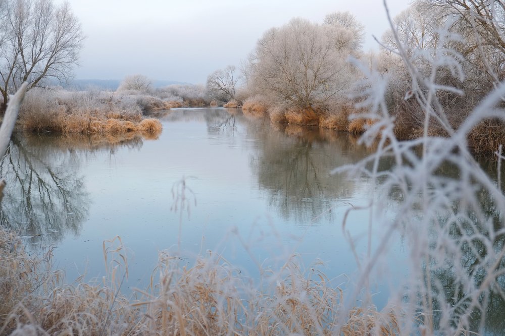 Photograph by Наталья Манусова