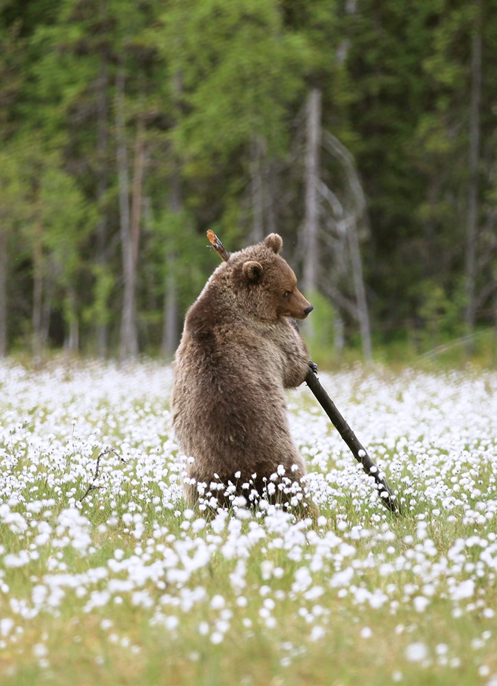 Photograph by Valtteri Mulkahainen