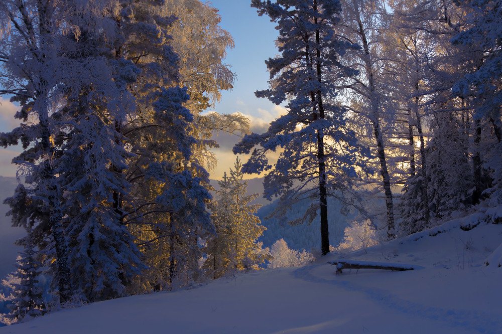 Photograph by Джазатор