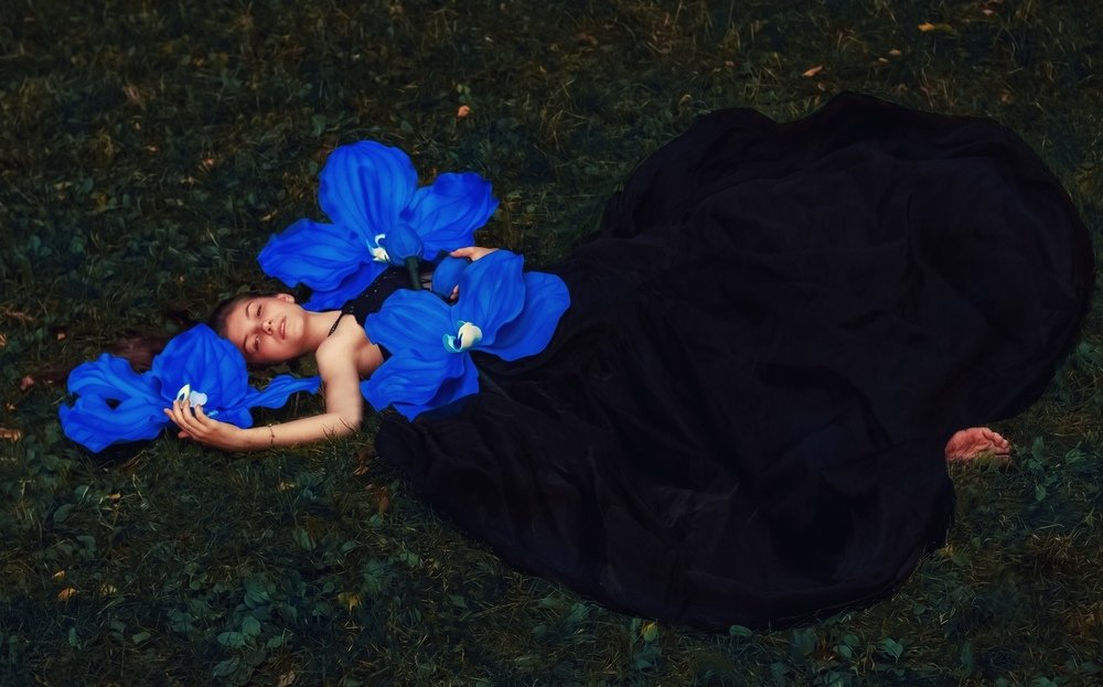 Запах орхидеи