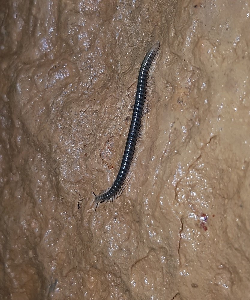 Photograph by Бурдунюк Александр Николаевич