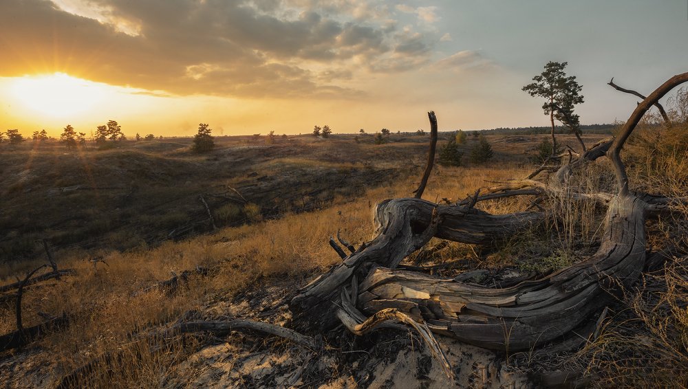 Фотография автора Андрей Жила