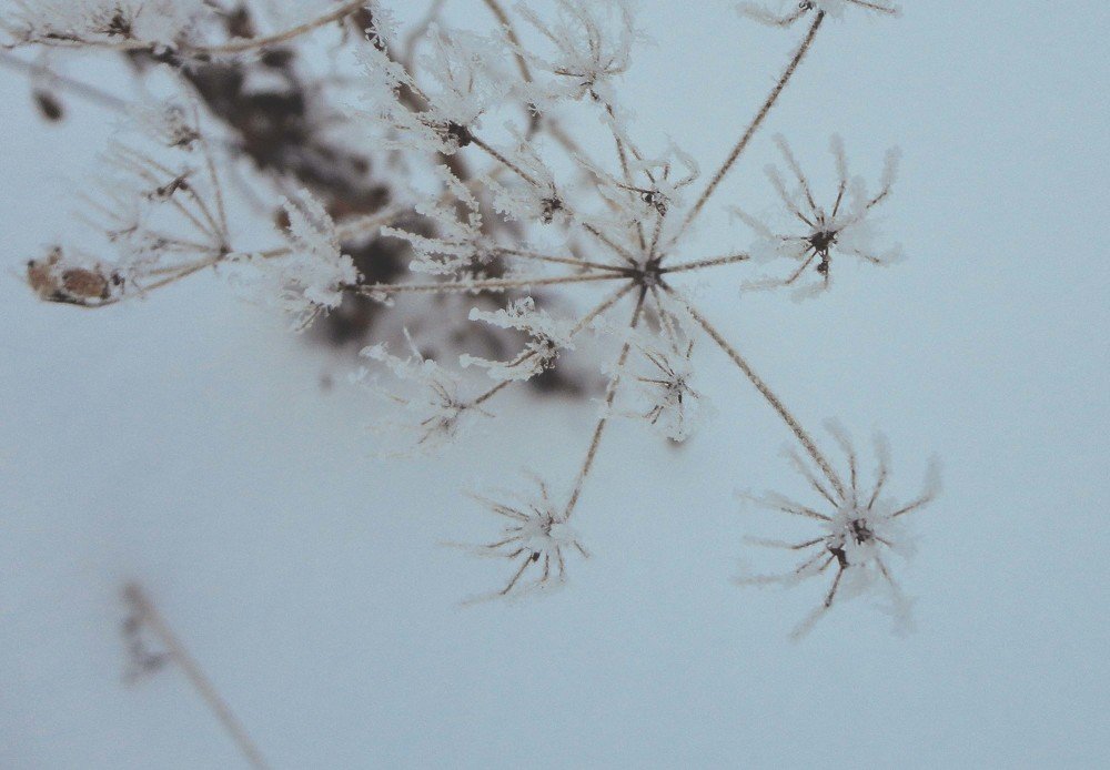 Photograph by Силина Александра