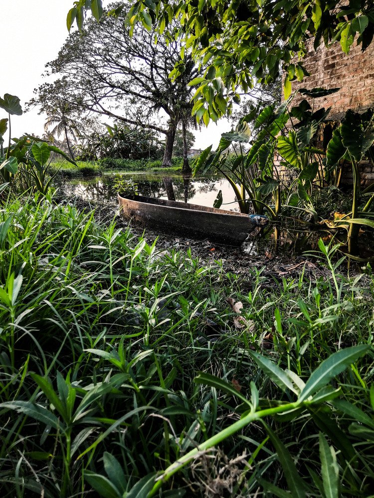 Photograph by Nirmalya Saha