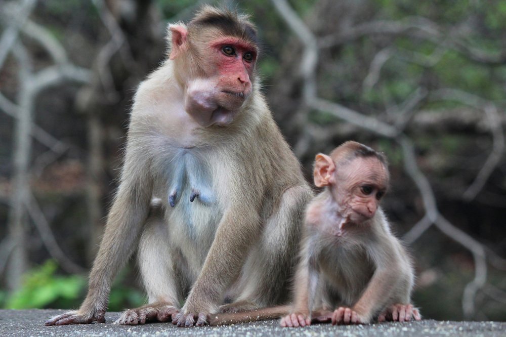 same reaction mom and son