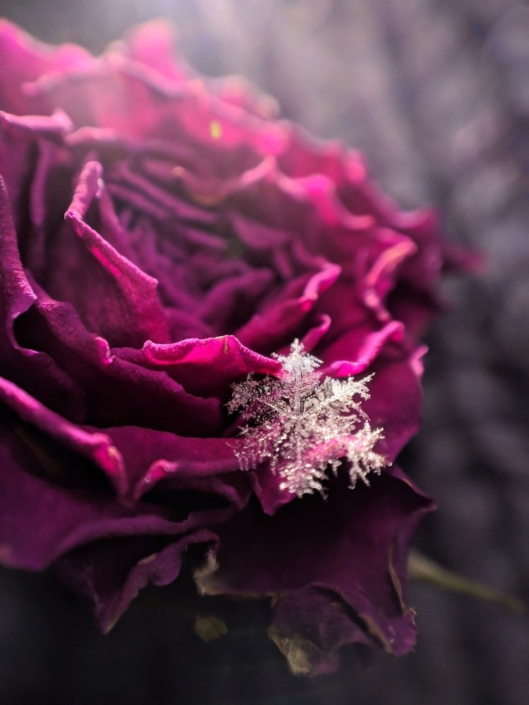 Photograph by Алексей и Юлия Дарьины