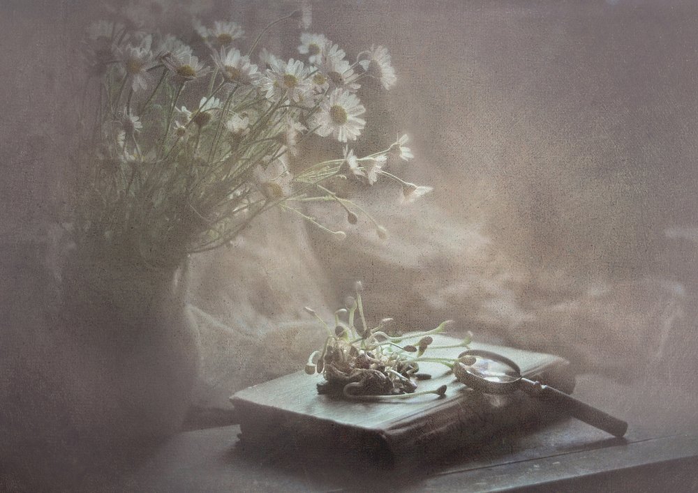 Photograph by Инна Буглак