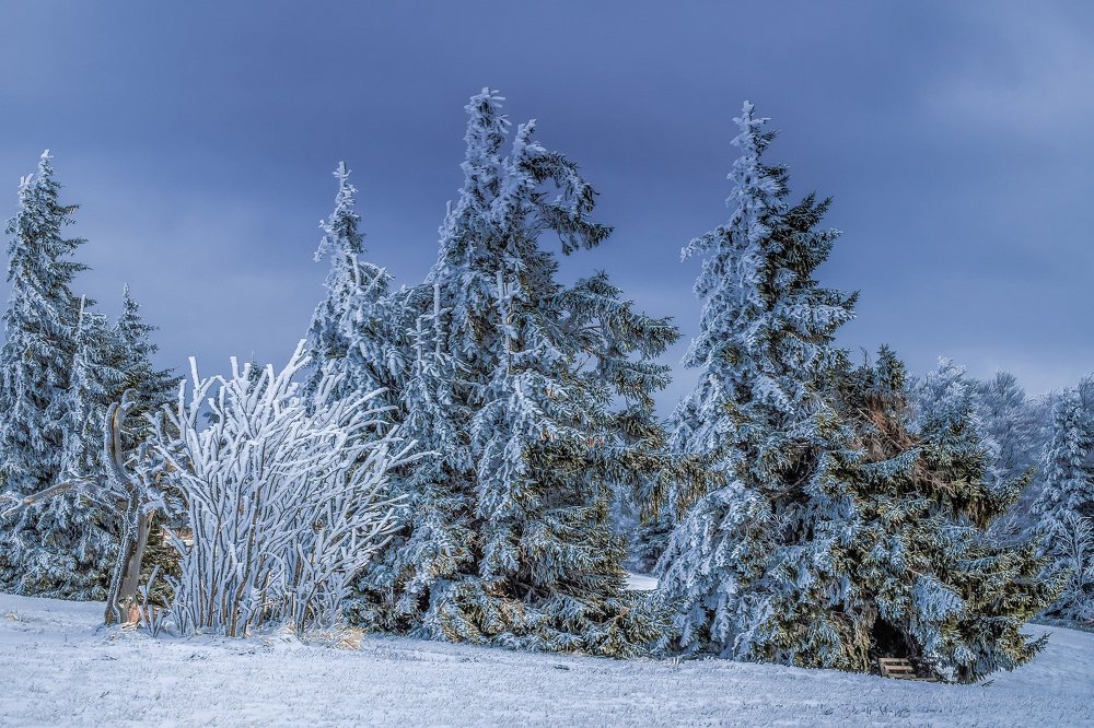 Photograph by Михаил Ступников