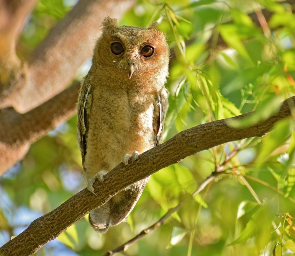 Photograph by Prabanjan Prabanjan karuppusamy