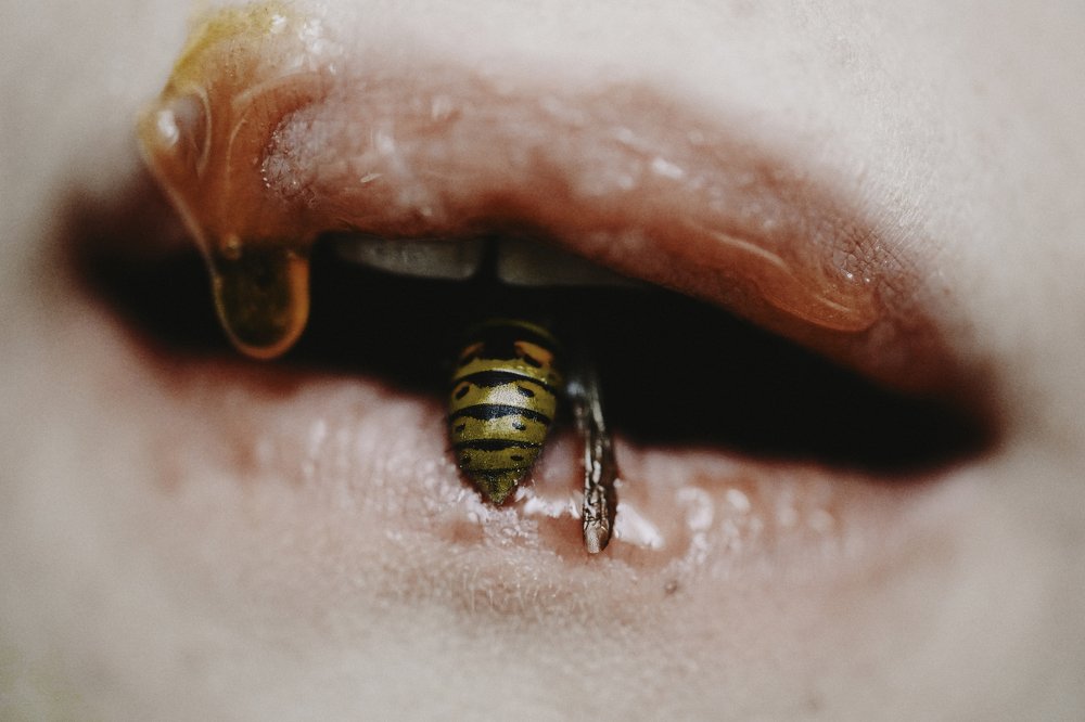 Photograph by Анастасия Като