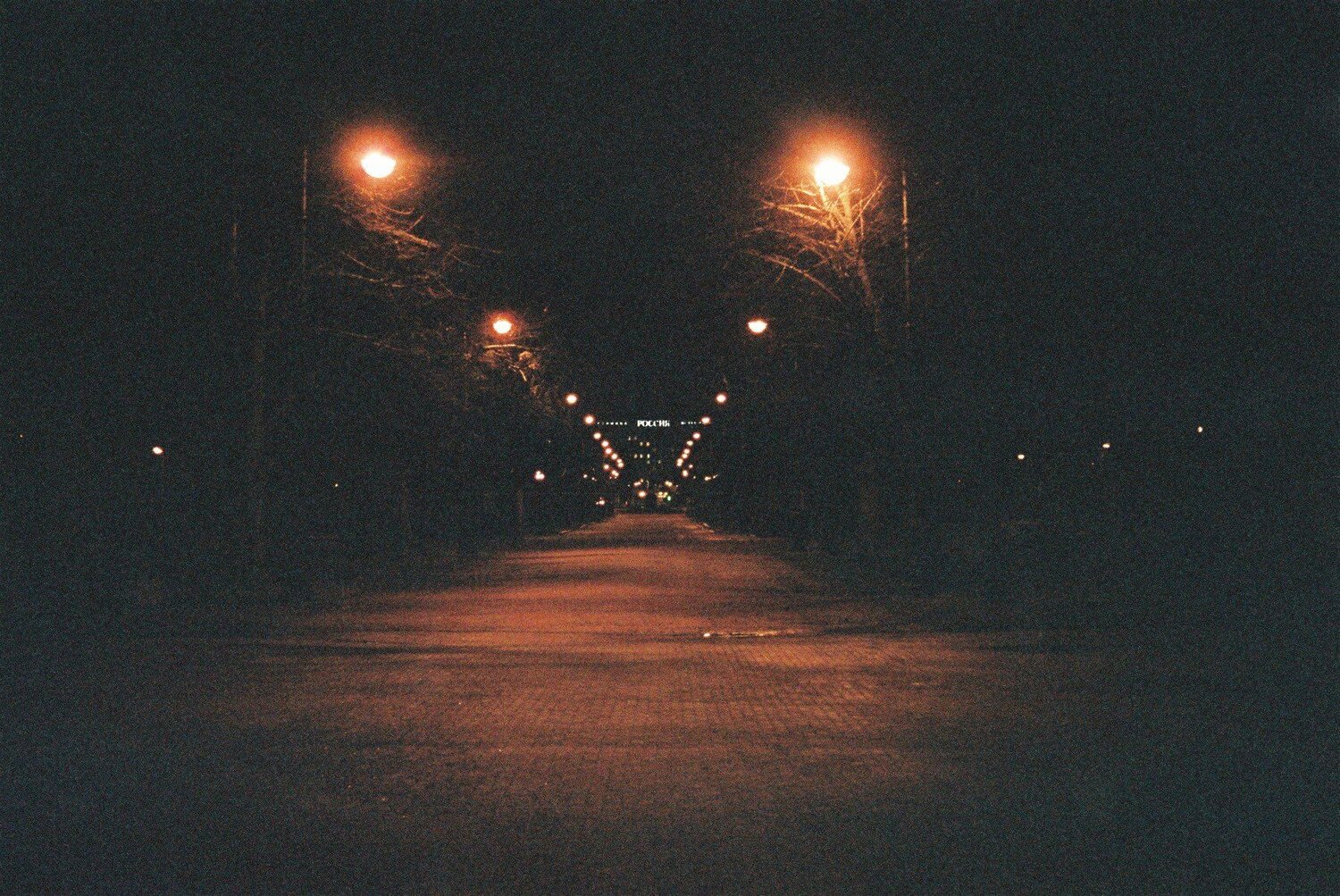 Photo #4046993