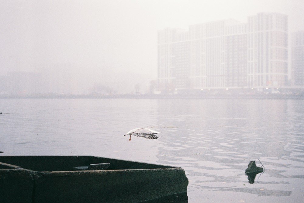 Photo #4046999