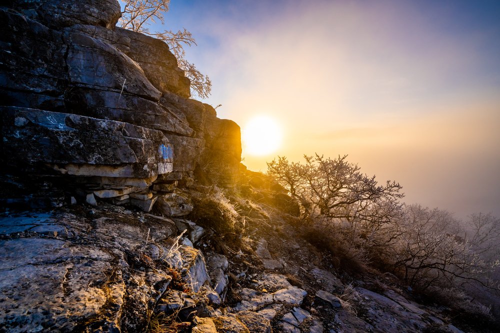 Photograph by Вячеслав Сницаренко