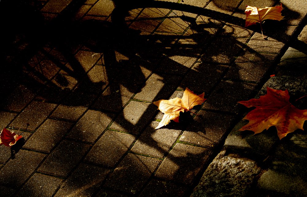 Photograph by Владимир Федин