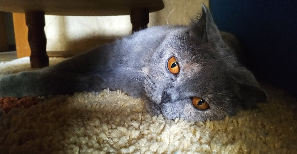 Photograph by Ali Aliyev