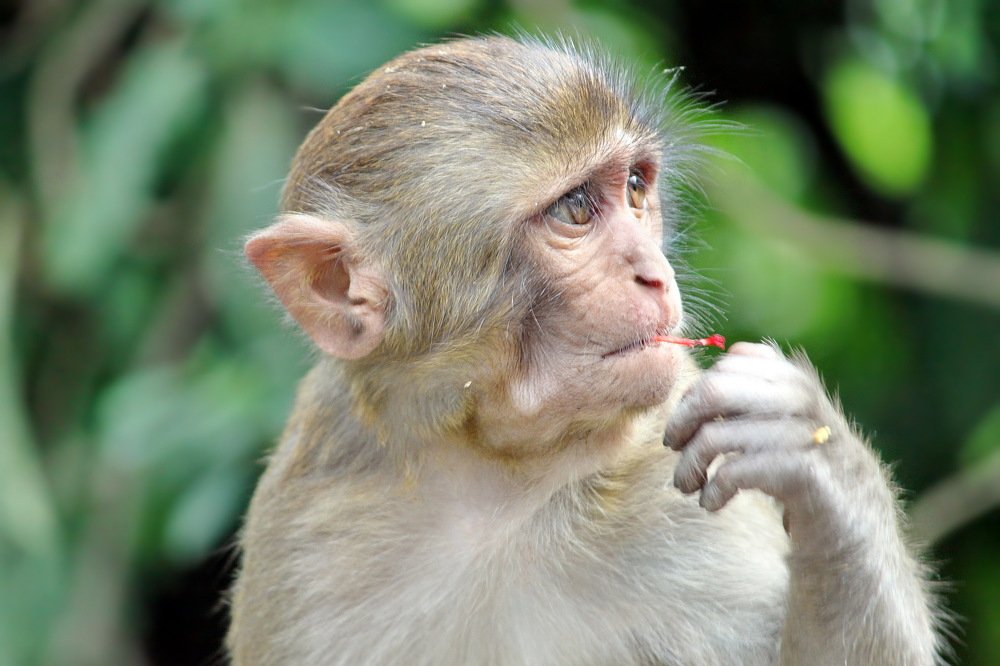 Photograph by Александр Столяров