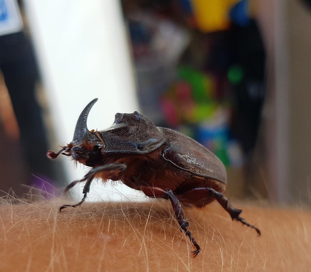 Photograph by Бурдунюк Александр Николаевич