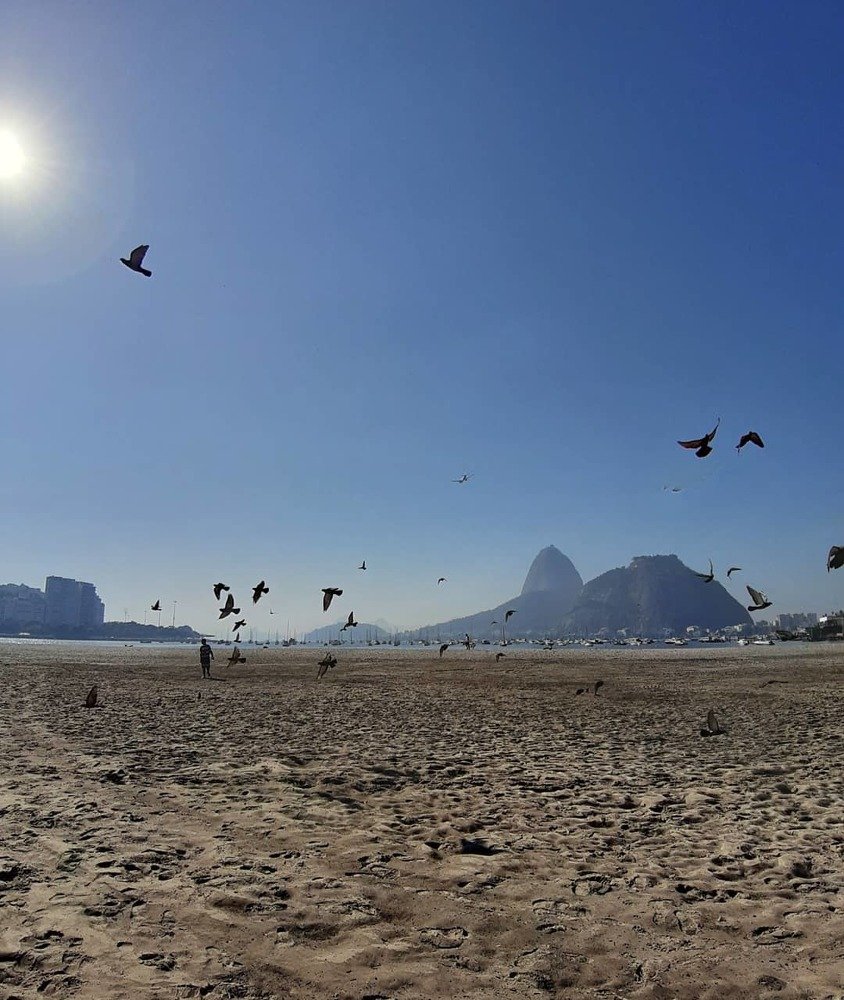 Have a summer in my winter.