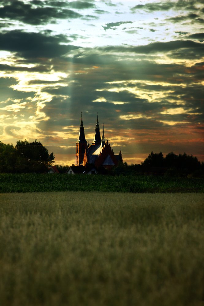 Photograph by Anna Suchcicka